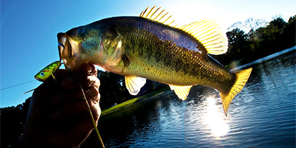 Center Hill Lake Fishing